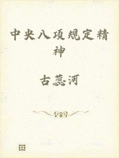 中央八项规定精神