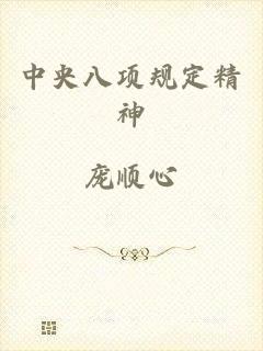 中央八项规定精神