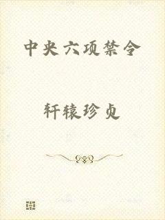 中央六项禁令