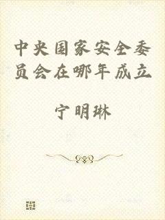 中央国家安全委员会在哪年成立