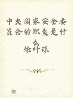 中央国家安全委员会的职责是什么