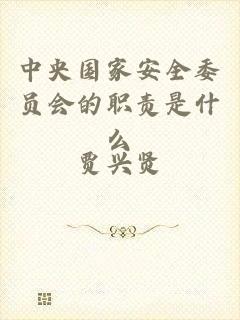 中央国家安全委员会的职责是什么