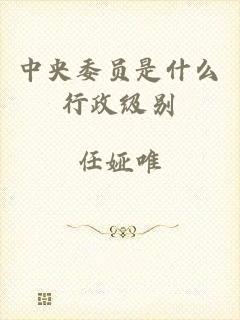 中央委员是什么行政级别