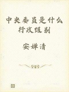 中央委员是什么行政级别