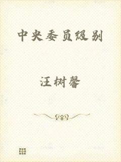 中央委员级别