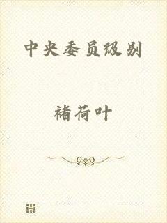 中央委员级别