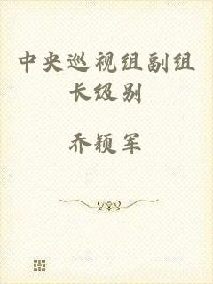 中央巡视组副组长级别