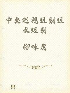 中央巡视组副组长级别