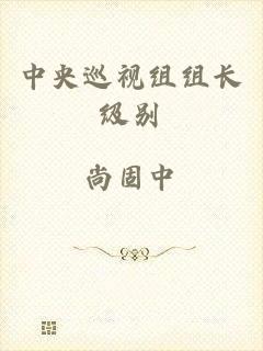 中央巡视组组长级别