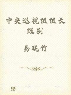 中央巡视组组长级别