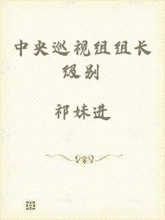 中央巡视组组长级别