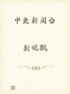 中央新闻台