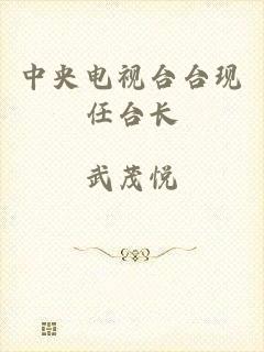 中央电视台台现任台长