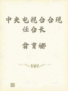 中央电视台台现任台长