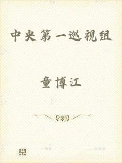 中央第一巡视组