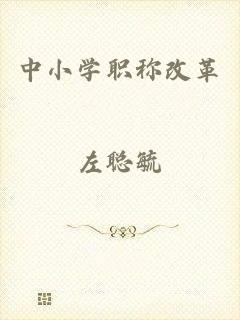 中小学职称改革