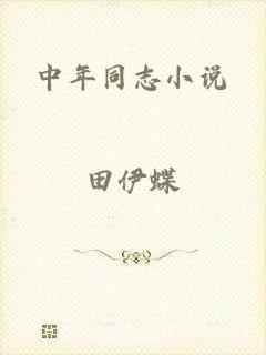 中年同志小说
