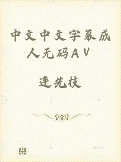 中文中文字幕成人无码AⅤ