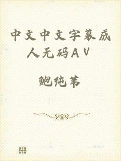 中文中文字幕成人无码AⅤ