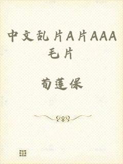 中文乱片A片AAA毛片