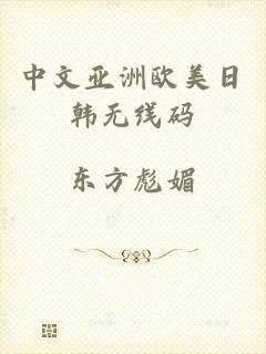 中文亚洲欧美日韩无线码