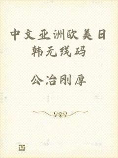 中文亚洲欧美日韩无线码