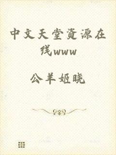 中文天堂资源在线www