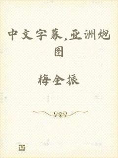 中文字幕,亚洲炮图