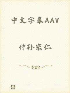 中文字幕AAV