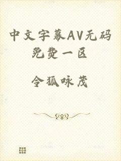 中文字幕AV无码免费一区