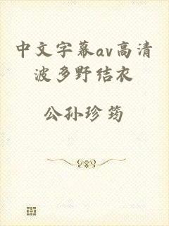 中文字幕av高清波多野结衣