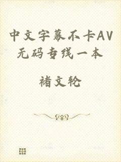 中文字幕不卡AV无码专线一本
