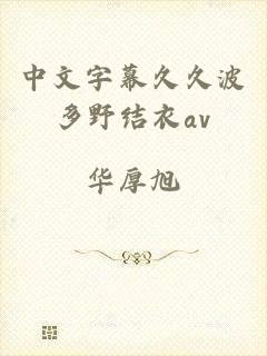 中文字幕久久波多野结衣av