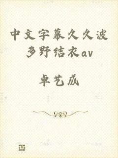 中文字幕久久波多野结衣av