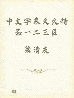 中文字幕久久精品一二三区