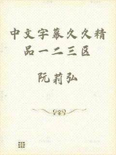 中文字幕久久精品一二三区