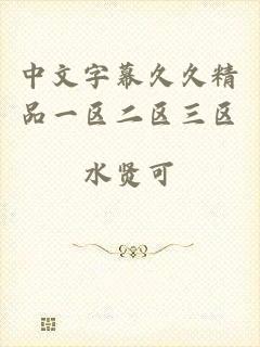 中文字幕久久精品一区二区三区