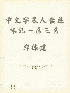 中文字幕人妻丝袜乱一区三区