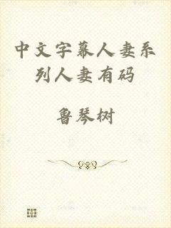 中文字幕人妻系列人妻有码
