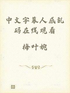 中文字幕人成乱码在线观看