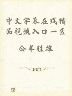 中文字幕在线精品视频入口一区