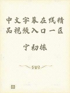 中文字幕在线精品视频入口一区