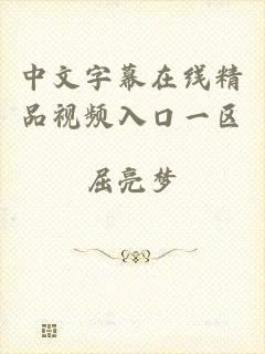 中文字幕在线精品视频入口一区