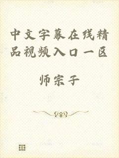 中文字幕在线精品视频入口一区