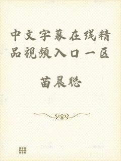 中文字幕在线精品视频入口一区