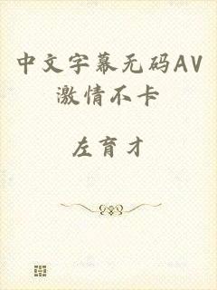 中文字幕无码AV激情不卡