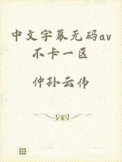 中文字幕无码av不卡一区