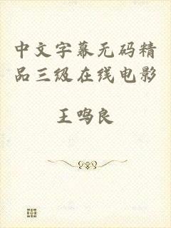 中文字幕无码精品三级在线电影