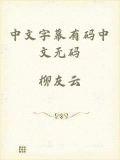 中文字幕有码中文无码