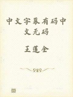 中文字幕有码中文无码